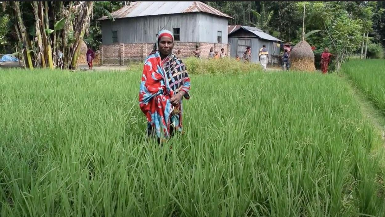 Agile in Response: How a Bangladeshi start-up is revolutionizing digitization in the farming sector