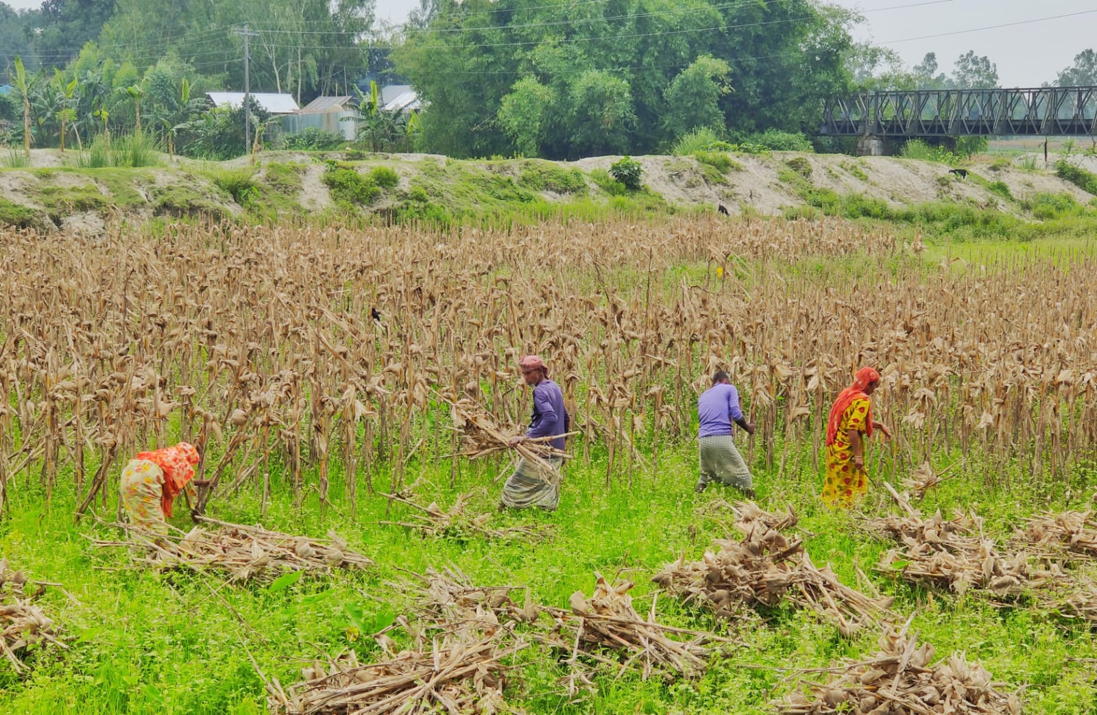 If You Ate Today, Thank a Farmer! 