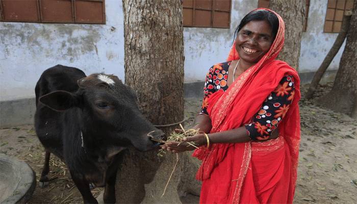 ৫ হাজার কৃষকের নেটওয়ার্ক তৈরি করেছে আইফার্মার