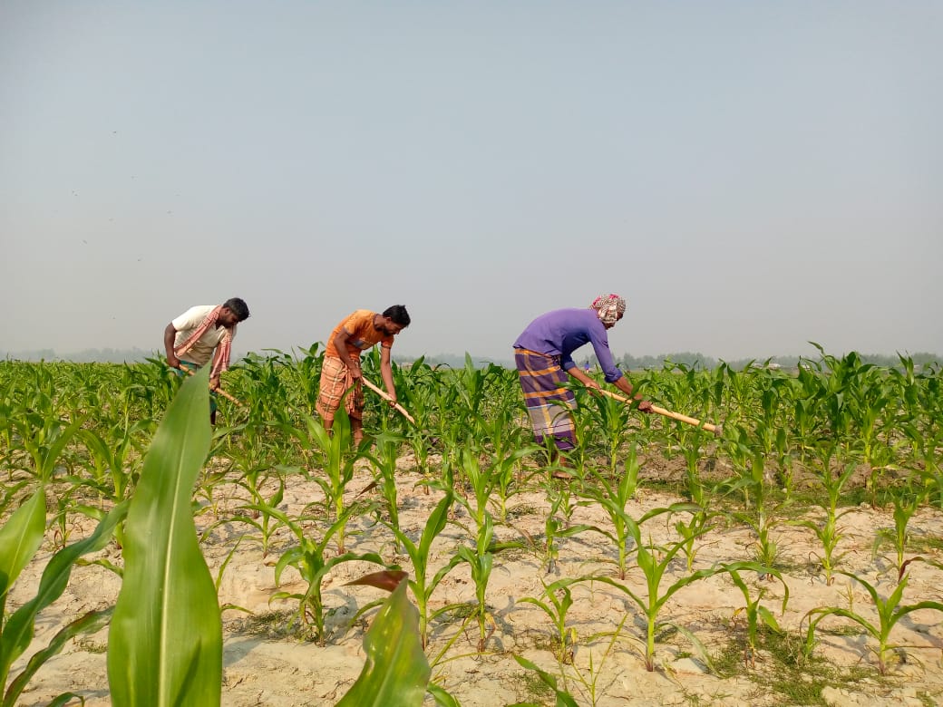 Bangladesh Bank: A Catalyst for Inclusion in Contract Farming in Rural Areas