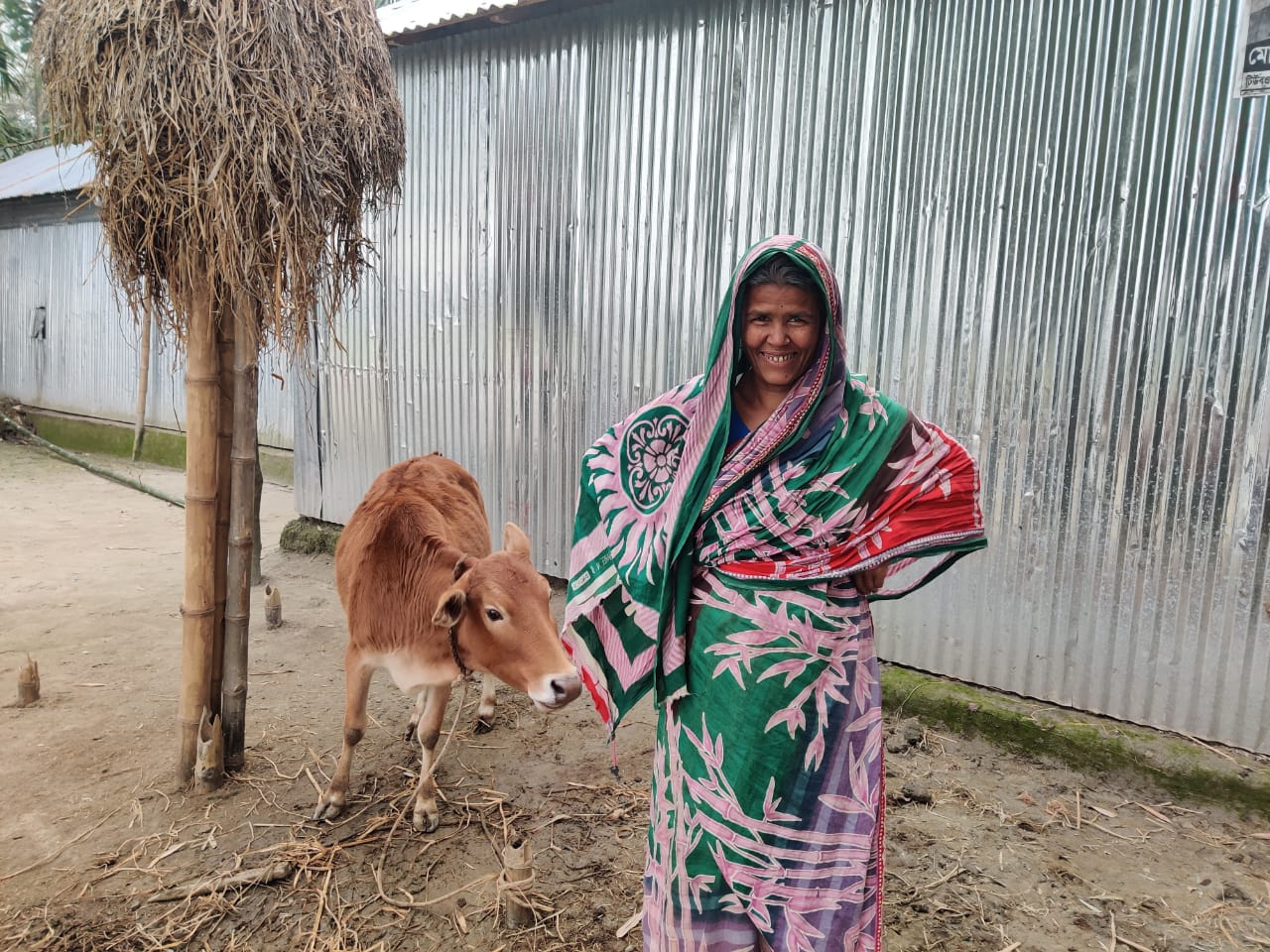 Building and Maintaining A Cattle Farm